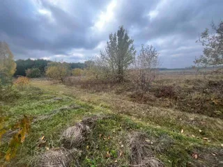 Земельный участок 600 кв.м, Липецкая область. Земельный участок в Липецкой обл., 600 кв.м. Земельный участок в Липецкой обл., 600 кв.м. Земельный участок, площадь: 600кв.м., адрес (местонахождение): Российская Федерация, Липецкая область, Добровский муниципальный район, сельское поселение…