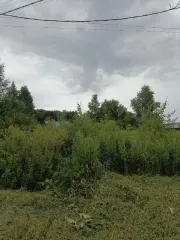 Земельный участок 692 кв.м, кадастровый номер 50:09:0020502:1183, Московская область, основной вид разрешенного использования: 13.2