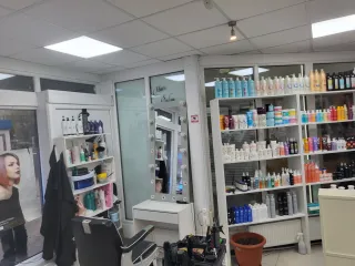 Нежилое помещение с кадастровым номером 39:15:142020:3070, общей площадью 53,1 кв.м., расположенное по адресу: Калининградская обл., г. Калининград, ул. Интернациональная, д. 30, корп. 1, пом. IV. Помещение находится в ТЦ "Yuzhny".