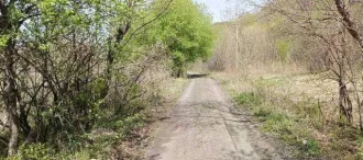 1/4 доли жилого дома 56,1 кв.м, Приморский край, г. Партизанск, 1/4 доля дома и 1/4 доля дома в Приморском крае, еще 1/4 доля дома и 1/4 доля дома в Приморском крае, еще 1/4 доли здания, площадь 56.1 кв.м., назначение: жилой дом, количество этажей: 1, адрес (местонахождение): 692852, Приморский…
