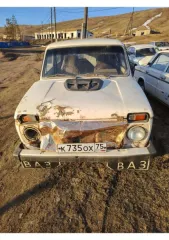 Автомобиль ВАЗ 2131, ВАЗ 2106, Toyota Carina, Toyota Starlet, ВАЗ-21074, ВАЗ-21051, ВАЗ-21063, ВАЗ 2106, Toyota Vista, ВАЗ 21213, Toyota Corona, Toyota Carina ED, Ока, ВАЗ 21060. Имущество продается в том виде, в каком оно есть, в случае продажи возврату/обмену не подлежит. За скрытые дефекты…