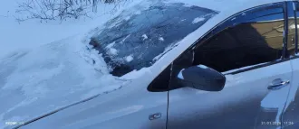 Volkswagen Polo 2013 года, VIN: XW8ZZZ61ZEG016060, госномер В228ХН31.