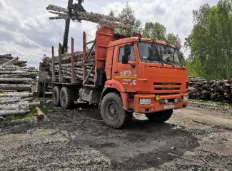 КАМАЗ-43118, автомобиль сортиментовоз с КМУ, 2017 года выпуска, регистрационный номер Е739АУ196, идентификационный номер (VIN): Z9L780642H0000030