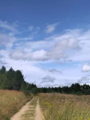Земельный участок 5000 кв.м, ЛПХ, д. Овцыно, Судогодский район. Земельный участок площадью 5000 кв. м для ведения личного подсобного хозяйства, расположенного в д. Овцыно Судогодского муниципального округа. Основной вид разрешенного использования: 2.2. Площадь земельного участка в соответствии с…