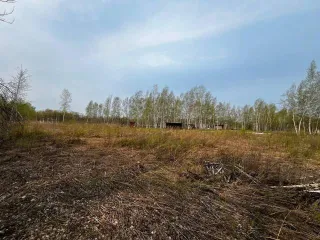 Земельный участок 1000 кв.м, Хабаровский край, расположенный по адресу: Хабаровский край, р-н Хабаровский, категория земель - земли сельскохозяйственного назначения, вид разрешенного использования - для ведения дачного хозяйства и организации застройки дачного некоммерческого товарищества, площадь…