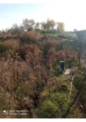 Право аренды земельного участка 1500 кв.м., Липецкая область, Усмань, ул. Эртеля. Право аренды земельного участка в Липецкой обл., 1500 кв.м. Право аренды на земельный участок, площадь: 1 500 кв.м., адрес (местонахождение): Российская Федерация, Липецкая область, Усманский муниципальный район…