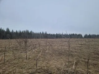 Земельный участок с кадастровым номером 69:10:0000037:1691, площадью 1 077 кв.м., местоположение: Тверская область, Калининский район, Верхневолжское с/п, с.Петровское.