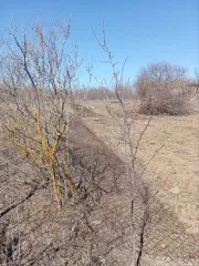 Земельные участки 600+/-17 кв.м, Ростовская область, р-н Азовский, х. Кочеванчик, СТ "Sputnik", участок 129, кадастровый номер: 61:01:0503601:690, вид собственности: индивидуальная.