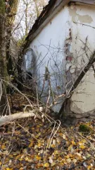 Участок 3900 м² и дом 40.4 м² в селе Нагольное, Пристенский район, Курская область, улица Нижнее Загородье, дом 20. Граница земельного участка не установлена в соответствии с требованиями земельного законодательства. Покупатель несет расходы по межеванию границ земельного участка, оплате госпошлины…