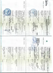 Mazda 3 2008, VIN: JMZBK12Z201804393, Год выпуска: 2008, гос.номер О645ОТ159 (ДВС, установленный на автомобиль не отражен в ПТС, в ПТС указан иной двигатель)