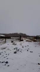 Земельный участок с кадастровым номером: 72:11:1201001:69; виды разрешенного использования объекта недвижимости: Для обслуживания зданий, строений; площадь: 64 205 кв. м.; вид права: Общая долевая собственность: 49759/64205; дата государственной регистрации: 07.06.2018 г.; Адрес: Местоположение…