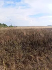 Земельный участок, площадь 397803 кв.м., назначение: Земли сельскохозяйственного назначения, адрес (местонахождение): Челябинская область, р-н Брединский, участок находится примерно в 4,8 км по направлению на юг от ориентира п. Комсомольский, расположенного за пределами участка, кадастровый номер…