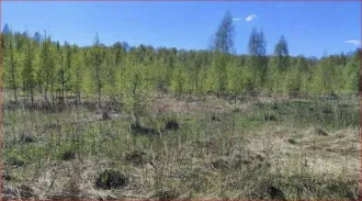 Земельный участок, 800 кв.м, Московская область, городской округ Раменский, д. Булгаково, кадастровый номер: 50:23:0050553:1191