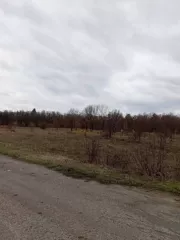 Земельный участок, Кадастровый номер: 73:14:011201:537, Площадь: 293141 +/  4737 кв.м., Назначение объекта недвижимости: данные отсутствуют, Виды разрешенного использования объекта недвижимости: Для сельскохозяйственного производства, Адрес: Ульяновская область, Сенгилеевский район, в 100 метрах по…