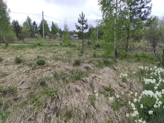Земельный участок в Татарстане, 600 кв.м., расположенный по адресу: Россия, Республика Татарстан, Верхнеуслонский муниципальный район, Набережно-Морквашское сельское поселение, "Родник" СНТ, д.б/н, с кадастровым номером: 16:15:121401:453, площадью 600 кв.м. Является предметом залога ПАО "Sberbank"…