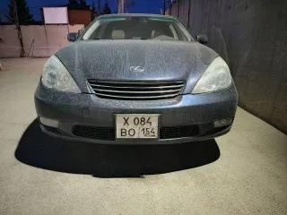 Lexus ES 330, 2004 года, 230 лс, 199888 км, АКПП, автомобиль легковой, VIN JTHBA30G340015116.