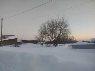 Земельный участок площадью 1498 кв.м по адресу: Алтайский край, Первомайский район, с. Первомайское, ул. Пролетарская, 37. Кадастровый номер: 22:33:020502:25. Вид разрешённого использования: 2.2. Регистрационный номер ЕГРОКН: