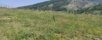 Земельный участок (ИЖС) 915 кв.м, Чеченская Республика Земельный участок (для индивидуальной жилой застройки), площадью 915+/-11 кв.м, кадастровый номер 20:09:2601001:1200. Площадь земельного участка: 915