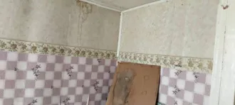 Земельный участок 896.58 кв.м и квартира Амурская область Земельный участок, площадь 896.58 кв.м, адрес: Россия, Амурская область, Тындинский район, поселок Восточный, улица Профсоюзная, дом 3, квартира 2, кадастровый номер: 28:26:030300:271 и жилое помещение, адрес: Россия, Амурская область…