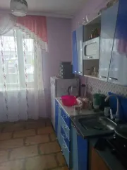 Дом 60,6 кв.м и участок 50 кв.м, Алтайский край; Земельный участок с кадастровым номером: 22:02:060008:315, площадью 50 кв.м и дом с кадастровым номером: 22:02:060008:3537, площадью 60,6 кв.м, расположенные по адресу: Алтайский край, Алтайский р-н, с. Алтайское, ул. Труда, д. 3, кв. 1.