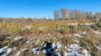 Земельный участок 2084 м² Алтайский край с кадастровым номером 22:33:042801:3384, площадью 2 084 м.кв., местоположение «Российская Федерация, Алтайский край, Первомайский район, Садоводческое некоммерческое товарищество "Новогорское", линия 7, участок № 49. В залоге у ПАО «Сбербанк».