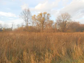 Земельный участок площадью 1500 кв.м, ½ доли в праве общей долевой собственности. Кадастровый номер 33:06:071301:181. Местоположение: Владимирская область, Камешковский район, сельское поселение Сергеихинское, село Фомиха. Категория земель: земли населенных пунктов. Вид разрешенного использования…