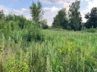 Земельный участок 1500 м², Владимирская область, Петушинский район, г. Петушки, ул. Кирова. Кадастровый номер 33:13:010211:717, площадь 1 500 +/-13 м. кв. Местоположение установлено относительно ориентира, расположенного в границах участка. Почтовый адрес ориентира: Владимирская обл, район…