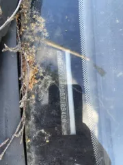 Ford Focus 2007, VIN: WF05XXWPD57J89408, госномер: К898ТК29, 2007 год выпуска.