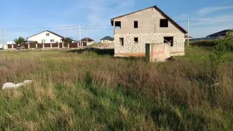 Земельный участок площадью 1500 м² с кадастровым номером 31:06:0201012:1428, расположенный по адресу: Белгородская область, г. Старый Оскол, ул. Лучистая, д. 11.