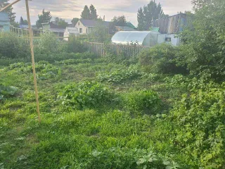 Дом 99,4 кв. м и земельный участок 421 кв. м в селе Верх-Тула, Новосибирская область, улица Учительская, дом 85. Кадастровый номер дома: 54:19:060103:3741, участка: 54:19:060103:3722.