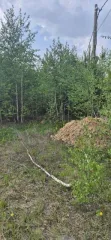 Земельный участок 1006 кв.м. в Свердловской области, г. Заречный, восточнее д. Гагарка, кадастровый (условный) номер: 66:42:0201003:1772, вид собственности: индивидуальная.