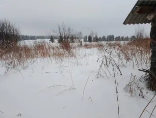Земельный участок 3091 кв.м, квартира 36,1 кв.м, дом блокированной застройки, Удмуртия, респ. Удмуртская, Балезинский р-н, д. Котегово, ул. Заречная, д. 5, кв. 2. Земельный участок 3 091 кв.м, кад. № 18:02:083001:191, категория/ВРИ – ЗНП/ЛПХ, право собственности, дом 36,1 кв.м, кад. №…