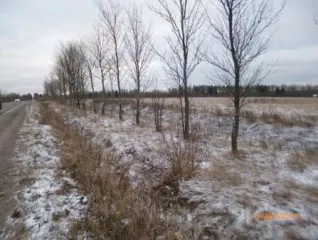Земельный участок с кадастровым номером 47:07:1039005:3542 общей площадью 12 915 кв.м расположенный по адресу: Российская Федерация, Ленинградская область, Всеволожский район