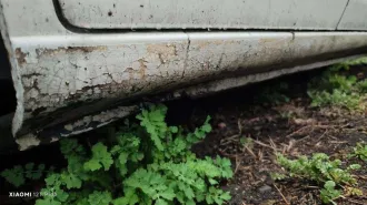 Toyota Camry 1997, легковой автомобиль, VIN отсутствует, кузов № CV400013749.