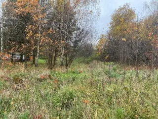 Земельный участок 1026 кв.м с КН 50:35:0040401:1550 Площадь земельного участка 1026 Кадастровый номер земельного участка 50:35:0040401:1550 Вид разрешённого использования земельного участка 2.1