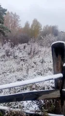 Доля земли 1215 кв.м., Томская обл., с. Молчаново, ул. Южная 1/2 Доли земли населенных пункотов (Земельный участок), кадастровый номер 70:10:0101005:291, площадь: 1215 кв.м., по адресу: 636331, Томская обл, с Молчаново, ул Южная, д. 17. Вид права: Общая долевая собственность; Дата права 15.03.2017…