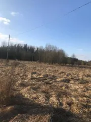 Земельный участок площадью 18824 кв.м в Ленинградской области, Гатчинский район, вблизи деревни Заборье, поле 7. Кадастровый номер: 47:23:0521002:198. Вид разрешенного использования: для сельскохозяйственного производства. Местоположение установлено относительно ориентира, расположенного в границах…