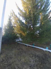 Помещение 171,4 кв.м в Ульяновской области, Вешкаймский район, рабочий поселок Вешкайма, улица Строителей, 10. Помещения административного здания кадастровый номер 73:03:050106:504, №16 на первом этаже и №1-10 на втором этаже.