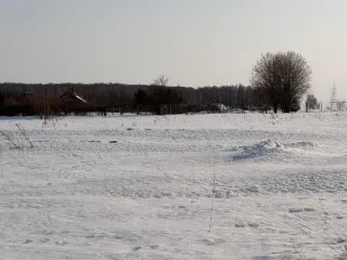 Земельный участок площадью 1628 кв.м, категория «земли населенных пунктов», вид разрешенного использования «Для ведения личного подсобного хозяйства (приусадебный земельный участок)» расположенного по адресу: Московская область, городской округ Кашира, д. Стародуб. Основной вид разрешенного…