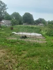 1/3 доля в праве на жилое здание площадью 34,6 кв.м, кадастровый номер 60:23:0010320:41. 1/3 доля в праве на земельный участок площадью 1235,6 кв.м, категория земель - земли населенных пунктов, разрешенное использование - для ведения личного подсобного хозяйства, кадастровый номер 60:23:0010321:2…