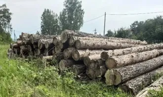 Древесина сосна 126,35 куб.м., Красноярский край, Березовский район 53 хлыста древесины породы сосна, в объеме 126,35 куб.м. (1181 ВД/МВД/СО) 53 хлыста древесины породы сосна, в объеме 126,35 куб.м. Древесина хвойной породы. Местонахождение: Красноярский край, Березовский район, Маганское…