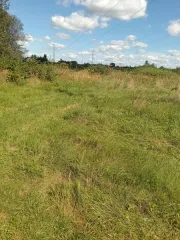 Земельный участок площадью 3600 кв. м, кадастровый номер 60:13:0012101:72, категория земель - земли населенных пунктов, вид разрешенного использования – для ведения личного подсобного хозяйства. Местоположение установлено относительно ориентира, расположенного в границах участка. Почтовый адрес…