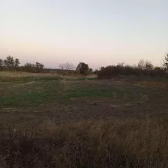 1/4 доля в праве на жилое здание площадью 37,8 кв.м, кадастровый номер 61:22:0040401:782 и 1/4 доля в праве на земельный участок площадью 5300 кв.м, категория земель - земли населенных пунктов, разрешенное использование - ЛПХ, кадастровый номер 61:22:0040401:211. На участке расположено…
