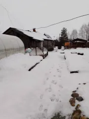 1/5 доля дома и 1/5 доля земельного участка в Вологодской обл. еще земельный участок, площадь 1214 +/  12 кв.м., адрес  местонахождение : Россия, обл Вологодская, р н Череповецкий, c/c Домозеровский, д. Рослино, кадастровый  условный  номер: 35:22:0303031:98 Находится в долевой собственности…