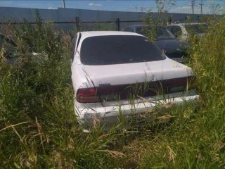 Mitsubishi Galant 1999 года выпуска, госномер М350ХК 154, номер кузова ЕА1А0305510, документы и ключи в наличии. Toyota Funcargo 2000 года выпуска, госномер Х678НТ54, номер кузова NCP21-0020463, документы и ключи в наличии. ВАЗ 21043 1997 года выпуска, VIN XTA210430W0639366, ПТС отсутствует, ключи…