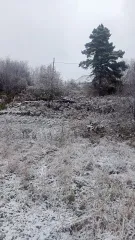 Доля земли 1215 кв.м., Томская обл., с. Молчаново, ул. Южная 1/2 Доли земли населенных пункотов (Земельный участок), кадастровый номер 70:10:0101005:291, площадь: 1215 кв.м., по адресу: 636331, Томская обл, с Молчаново, ул Южная, д. 17. Вид права: Общая долевая собственность; Дата права 15.03.2017…