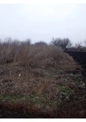 Земельный участок, 468 кв.м, Оренбургская обл., Шарлыкский р-н, с. Шарлык, СТ Рассвет. Земельный участок в Оренбургской обл., 468 кв.м, площадь: 468 кв.м, адрес (местонахождение): Оренбургская обл, р-н Шарлыкский, с Шарлык, С.Т. Рассвет, категория земель: Земли населенных пунктов, разрешенное…