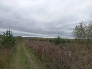 Земельный участок в Татарстане, 35 700 кв.м, кадастровый номер: 16:20:041101:329