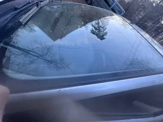 Ford Focus 2006 года, 145 л.с., легковой автомобиль, марка: Ford, модель: Focus, год изготовления: 2006, цвет: серебристый, VIN: X9F3XXEED36Y88405, г/н: О699КХ32, мощность двигателя, л. с. (кВт): 145 (107)