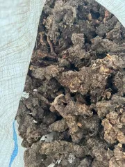 Родиола розовая 49,8 кг. Подлежит реализации как годные остатки.